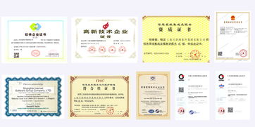 上海互聯網軟件集團 高端協同管理軟件與教育咨詢服務的專業提供者